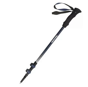 Палки треккинговые, карбон, ST04, голубые, для ходьбы (2 шт.)